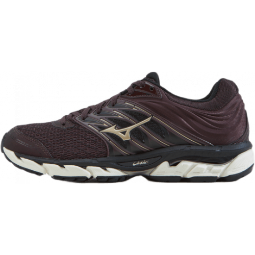 mizuno wave paradox dame