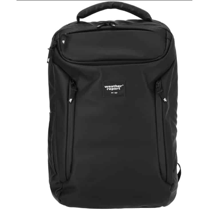 Bronze Back Pack