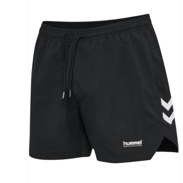 HmlPulse Swim Shorts Herre