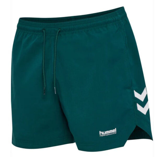 HmlPulse Swim Shorts Herre